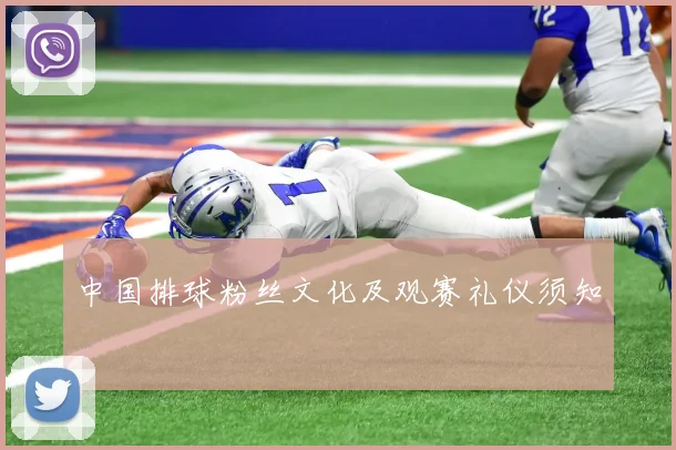 中国排球粉丝文化及观赛礼仪须知