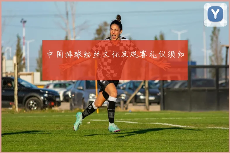 中国排球粉丝文化及观赛礼仪须知
