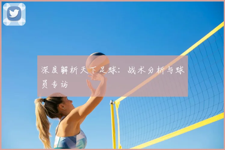 深度解析天下足球:战术分析与球员专访